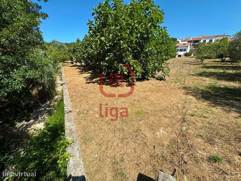 Moradia T3 com terreno - Gondemaria!-31