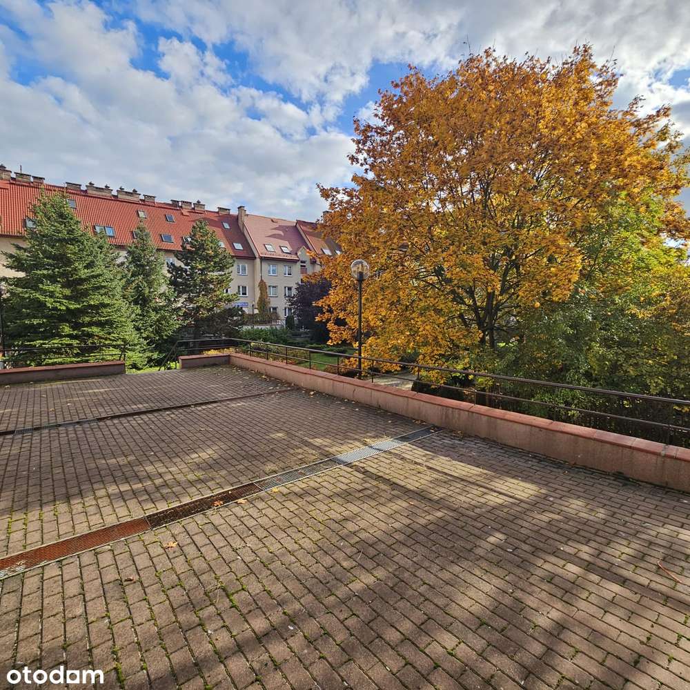 Kawalerka w centrum- Kościuszki 50-5