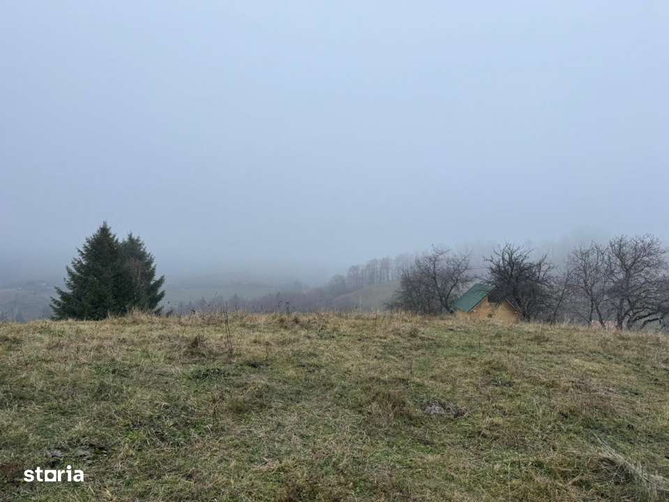Teren Poiana Marului -Zarnesti -Brasov-9