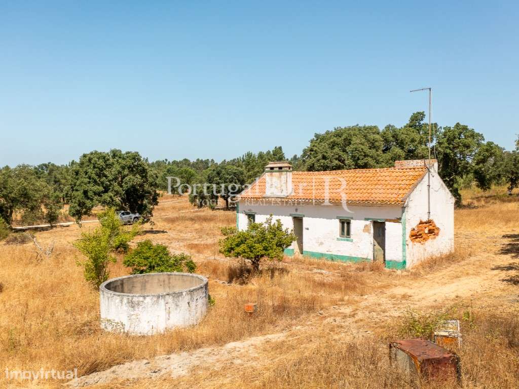 Quinta de 20ha com projeto para Turismo Rural a 1h de Lisboa-6
