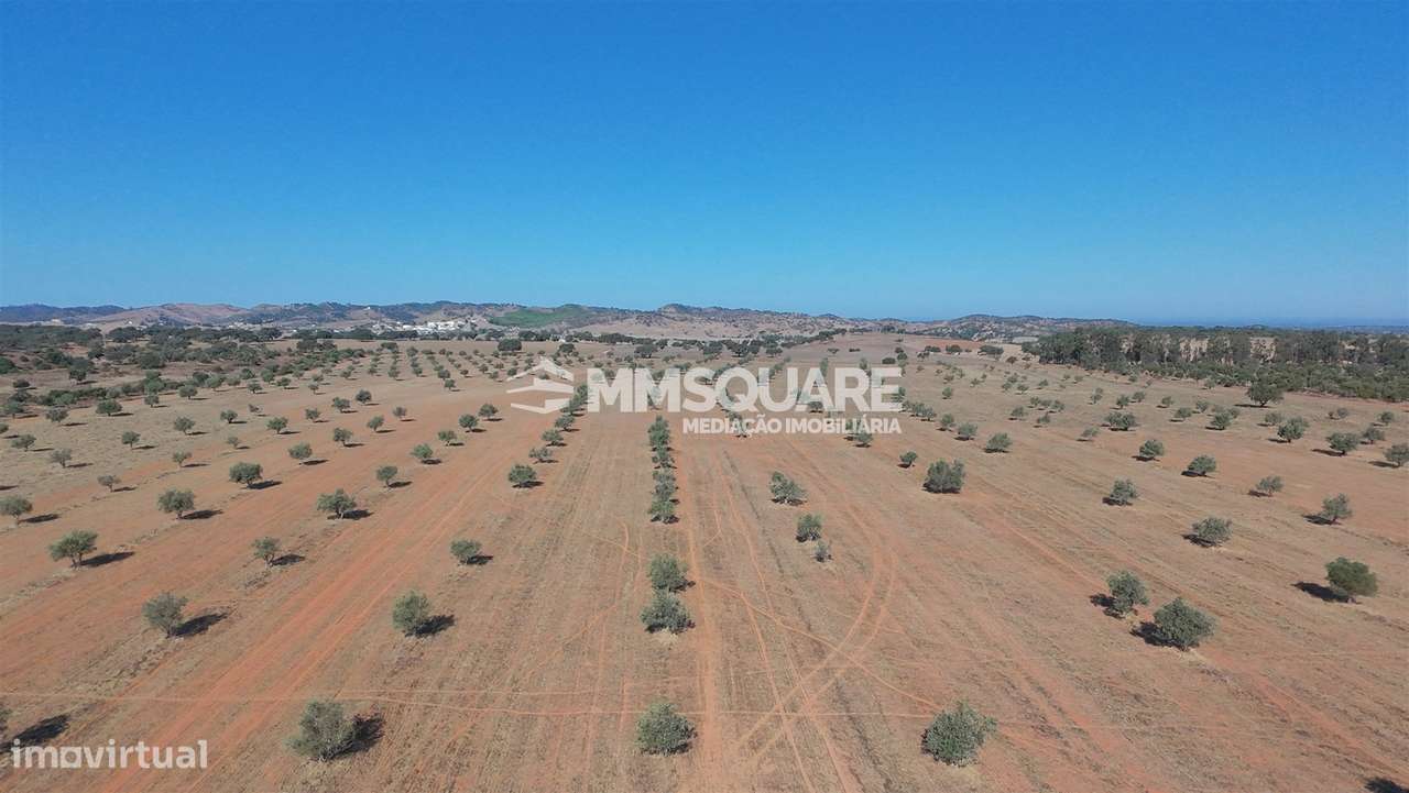 Herdade  Venda em Garvão e Santa Luzia,Ourique-18