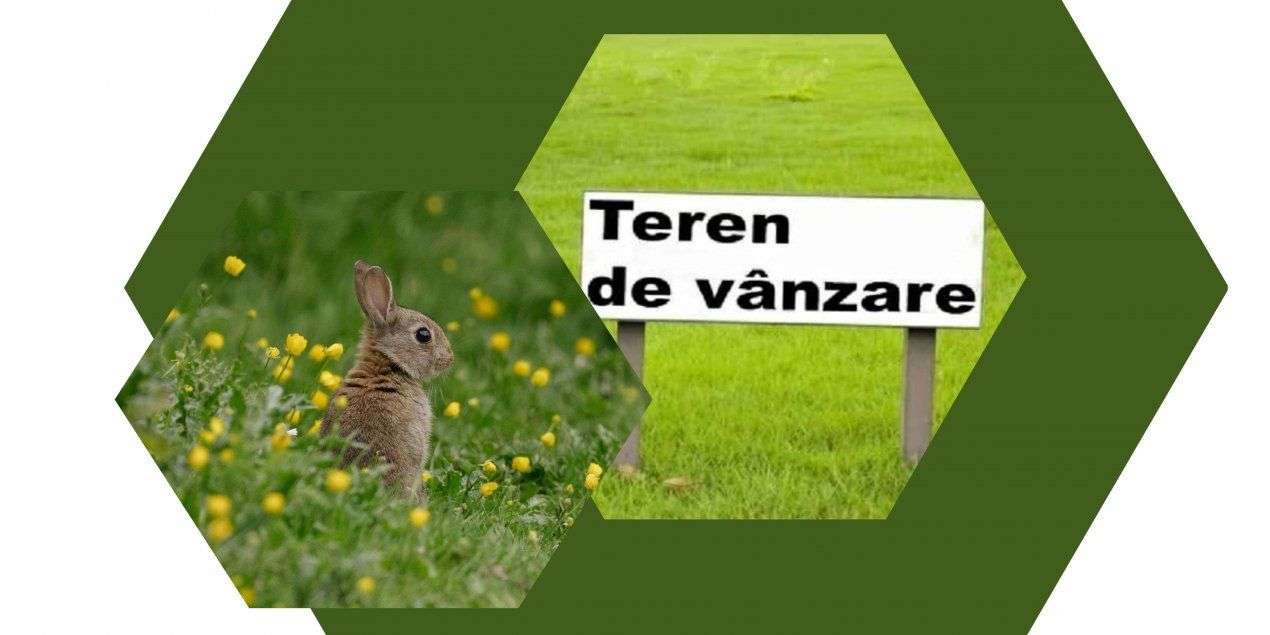 Teren extravilan 1,8ha - Sere- zona de VEST a Constantei-0