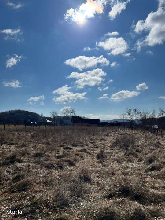 Teren Cicanesti Arges, la 10 KM de Transfagarasan - Comision 0% - Imagine principală: 3/4