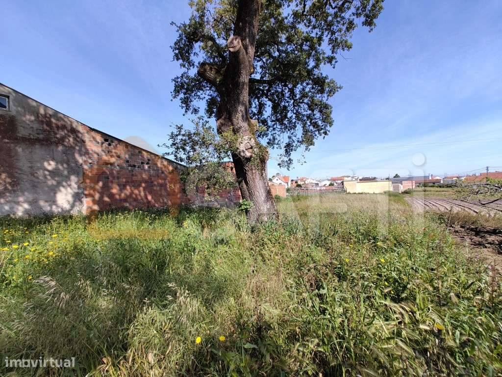 Terreno em Leiria ( Maceira) - Grande imagem: 5/7