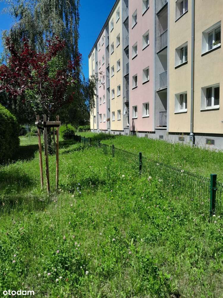 Rezerwacja -Stary Grunwald-0
