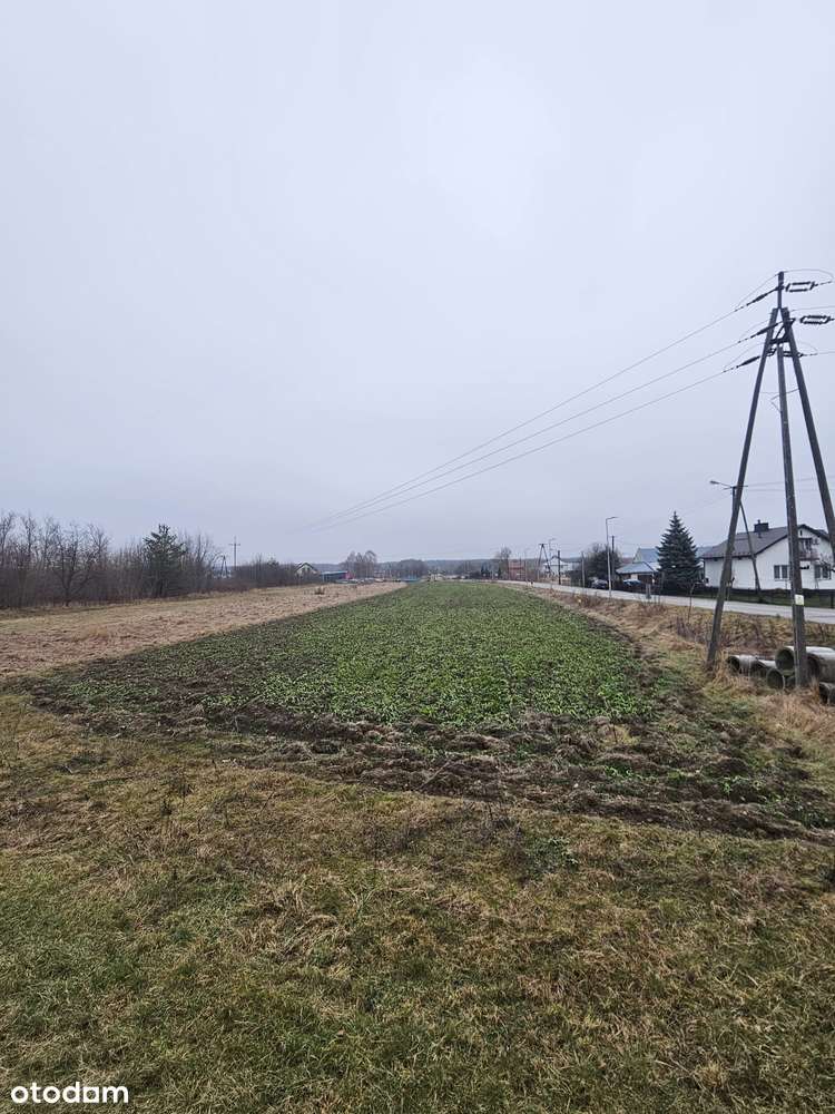 Atrakcyjna działka inwestycyjna 37,87 ar | Mielec – Rzochów - Pełny obrazek: 5/8