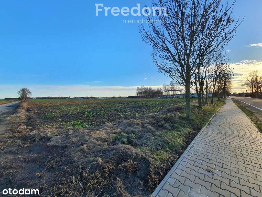 Działka 1778 m2 z WZ w Ortelu Królewskim Pierwszym - Pełny obrazek: 4/8