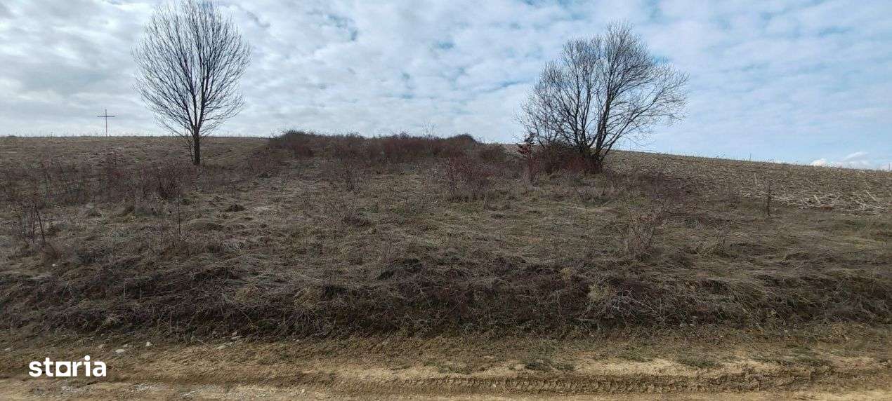 Teren 2282 mp, extravilan, localitatea Fasca, comuna Varciorog, jud. B - Imagine principală: 5/8