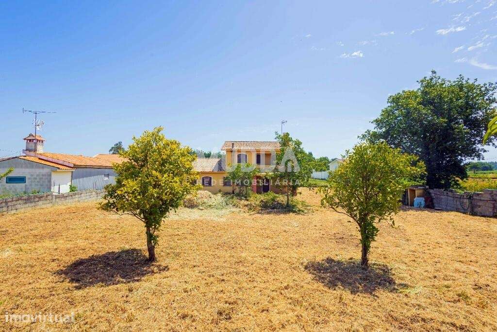 Oportunidade em Azurva – Moradia Isolada com Grande Terreno!-38