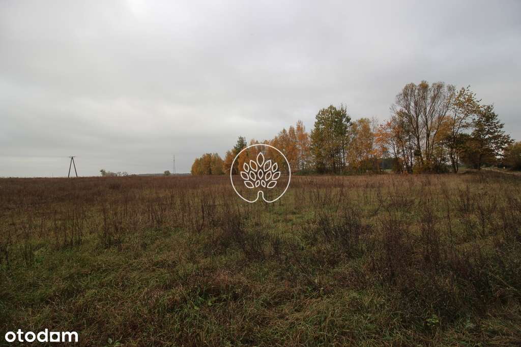 408/14150/OGS - Pełny obrazek: 4/4