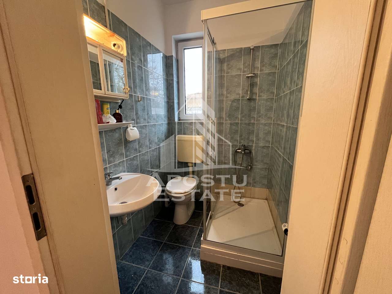 Imobil de vanzare P+M, 173 mp utili,  Elisabetin. - Imagine principală: 2/20