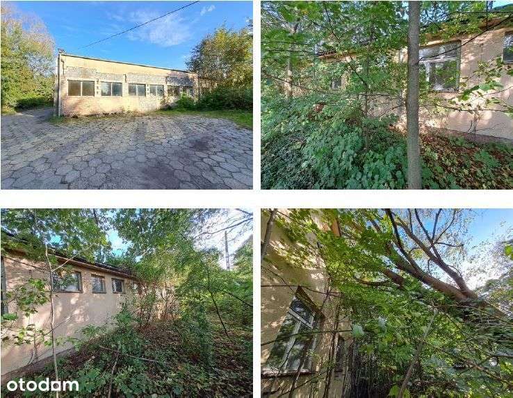 Hala produkcyjno-magazynowa, plac – udział - Pełny obrazek: 5/10