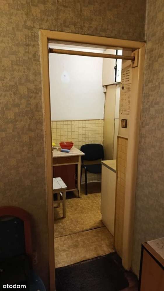 okolice Ogrodu Botanicznego WINDA/OD ZARAZ! - Pełny obrazek: 5/20