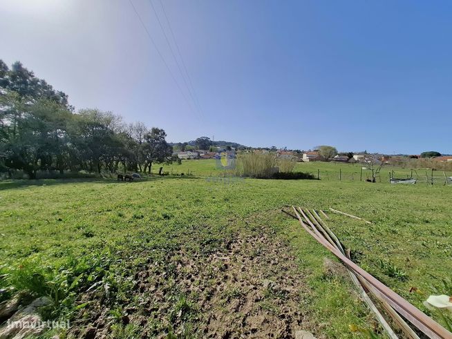 Terreno urbano com 15.867 m2 em Cela, Alcobaça,  e ruína de 336,30 m2-18