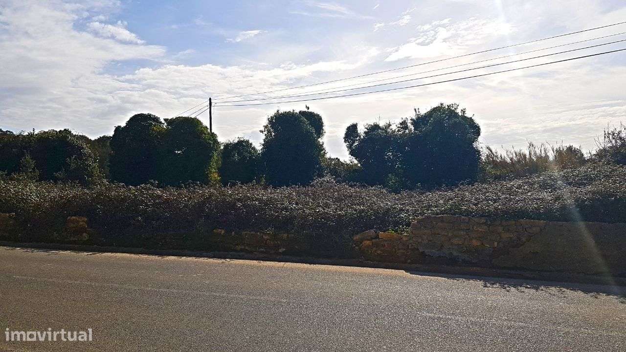 Quinta na Bairrada - Grande imagem: 5/22