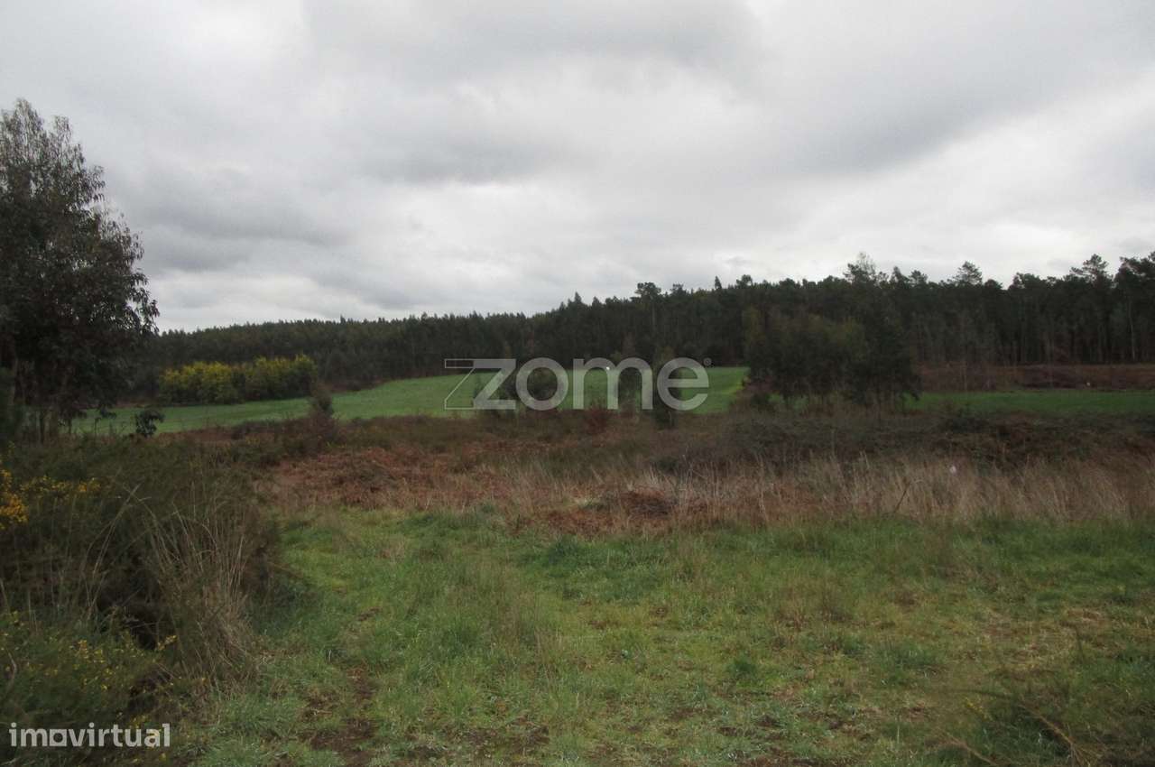 Terreno rústico com 15500 M2 em Famalicão - Grande imagem: 5/15