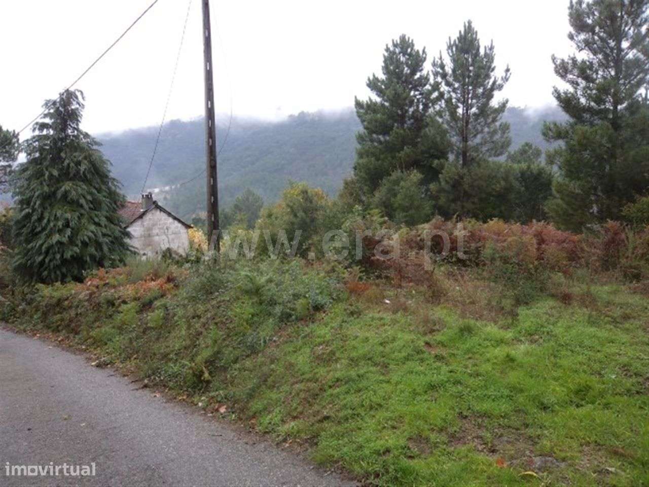 Terreno - Grande imagem: 5/8