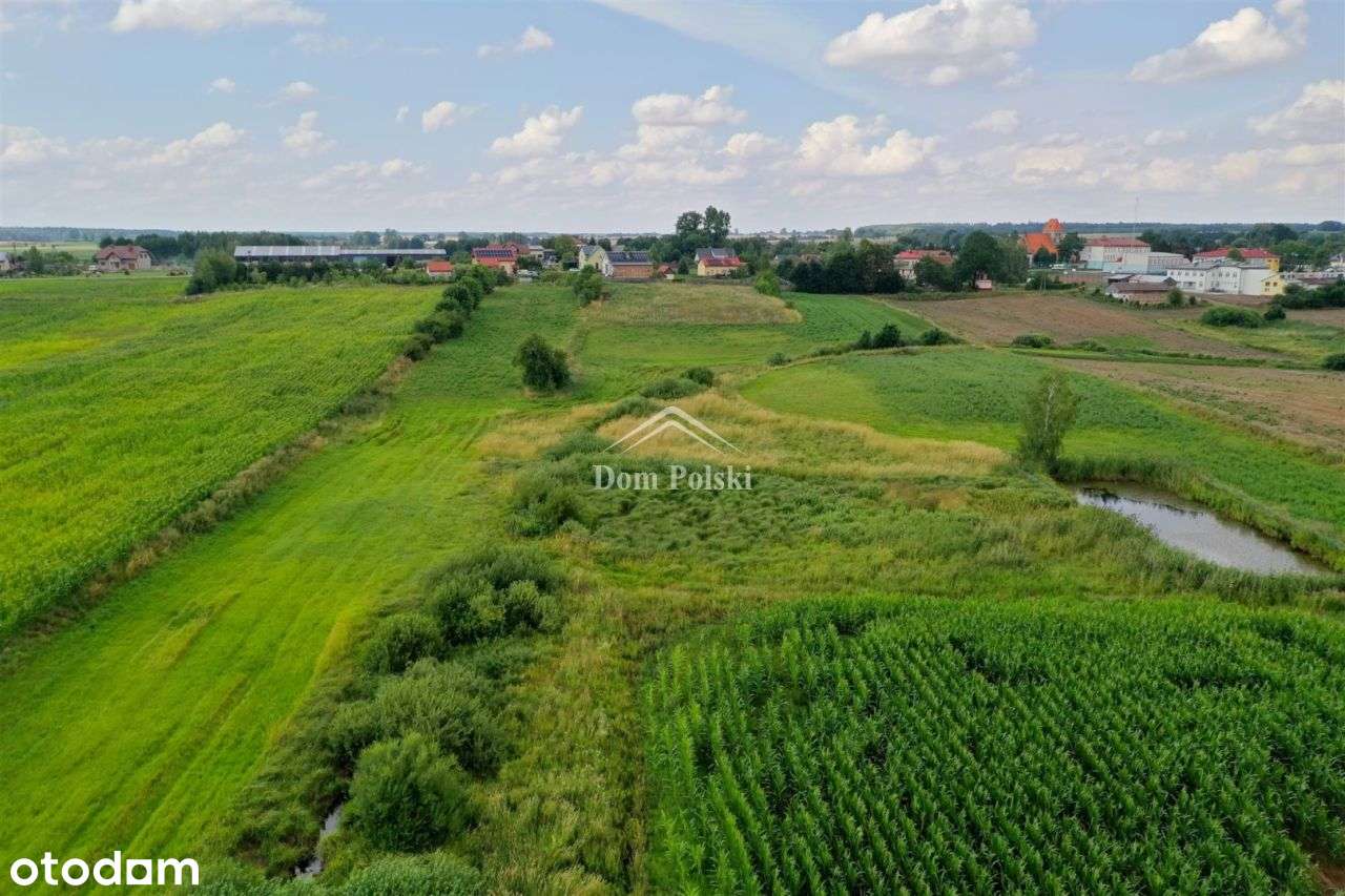 Działka rolna 3,7807 ha w Kalinowie - Pełny obrazek: 5/14