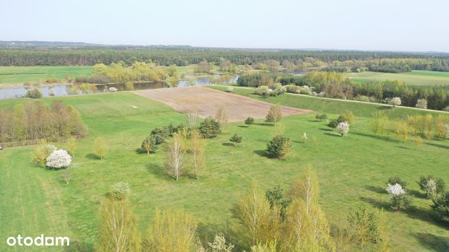 Działki nad rzeką w Nowogrodzie