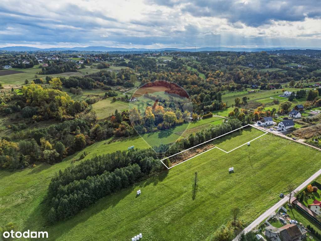 Widikowa działka w Podstolicach-6