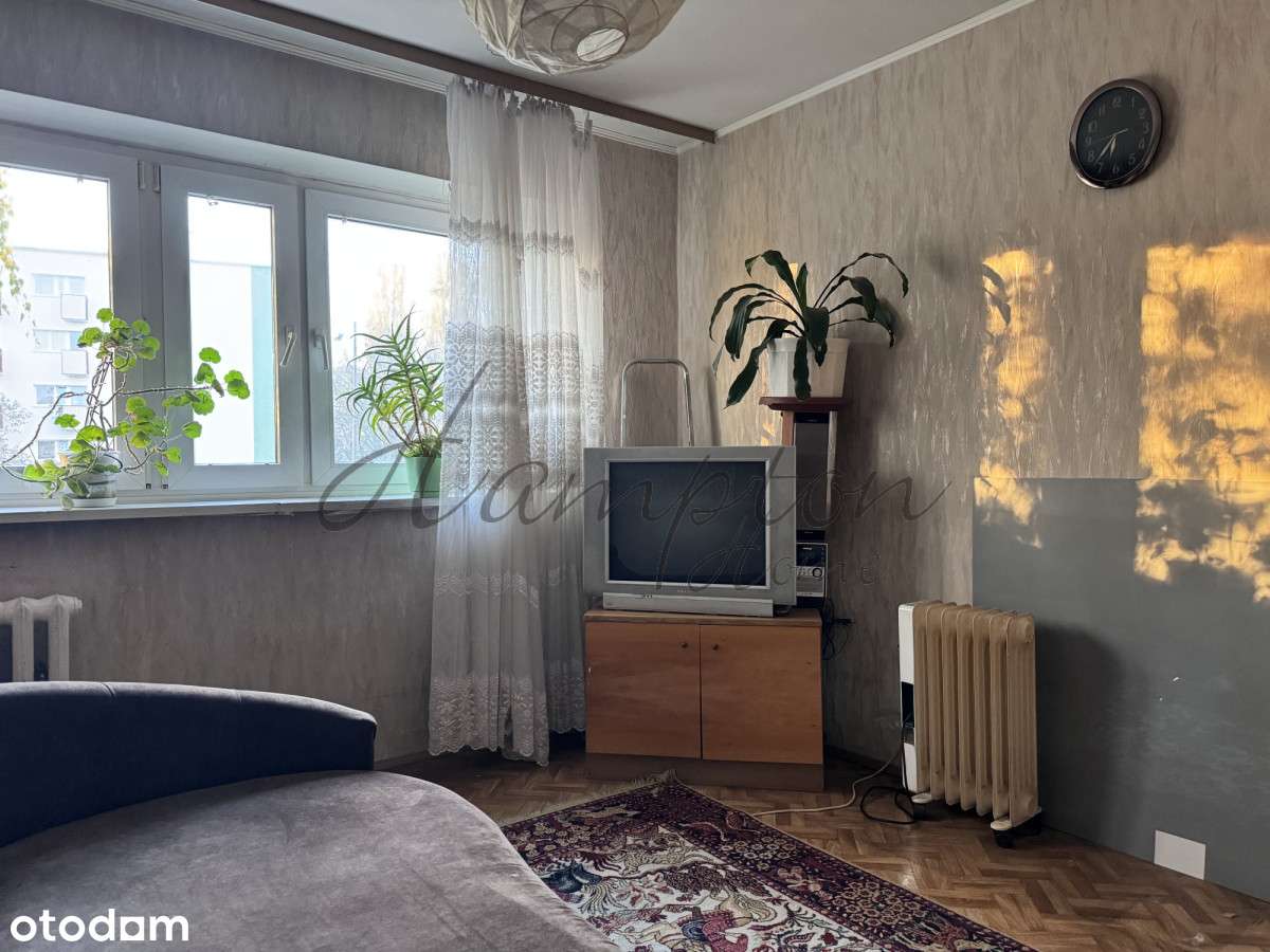 2 pokojowe do remontu - Pełny obrazek: 2/10