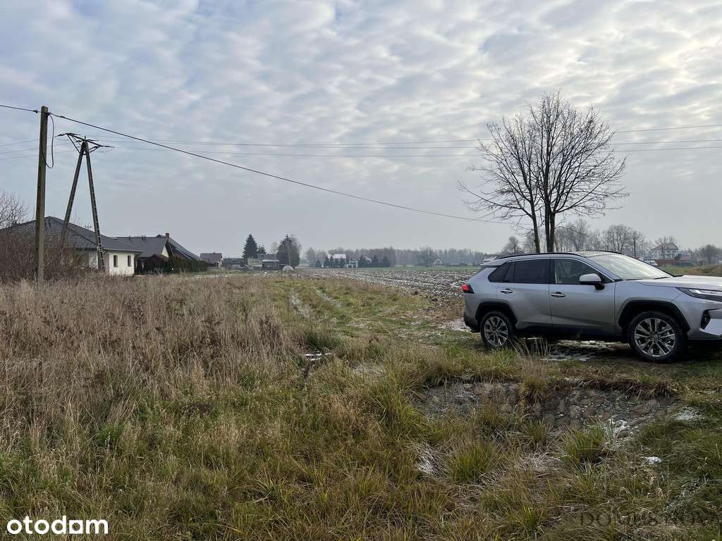 Działka budowlana na obrzeżach Sokołowa - Pełny obrazek: 5/7