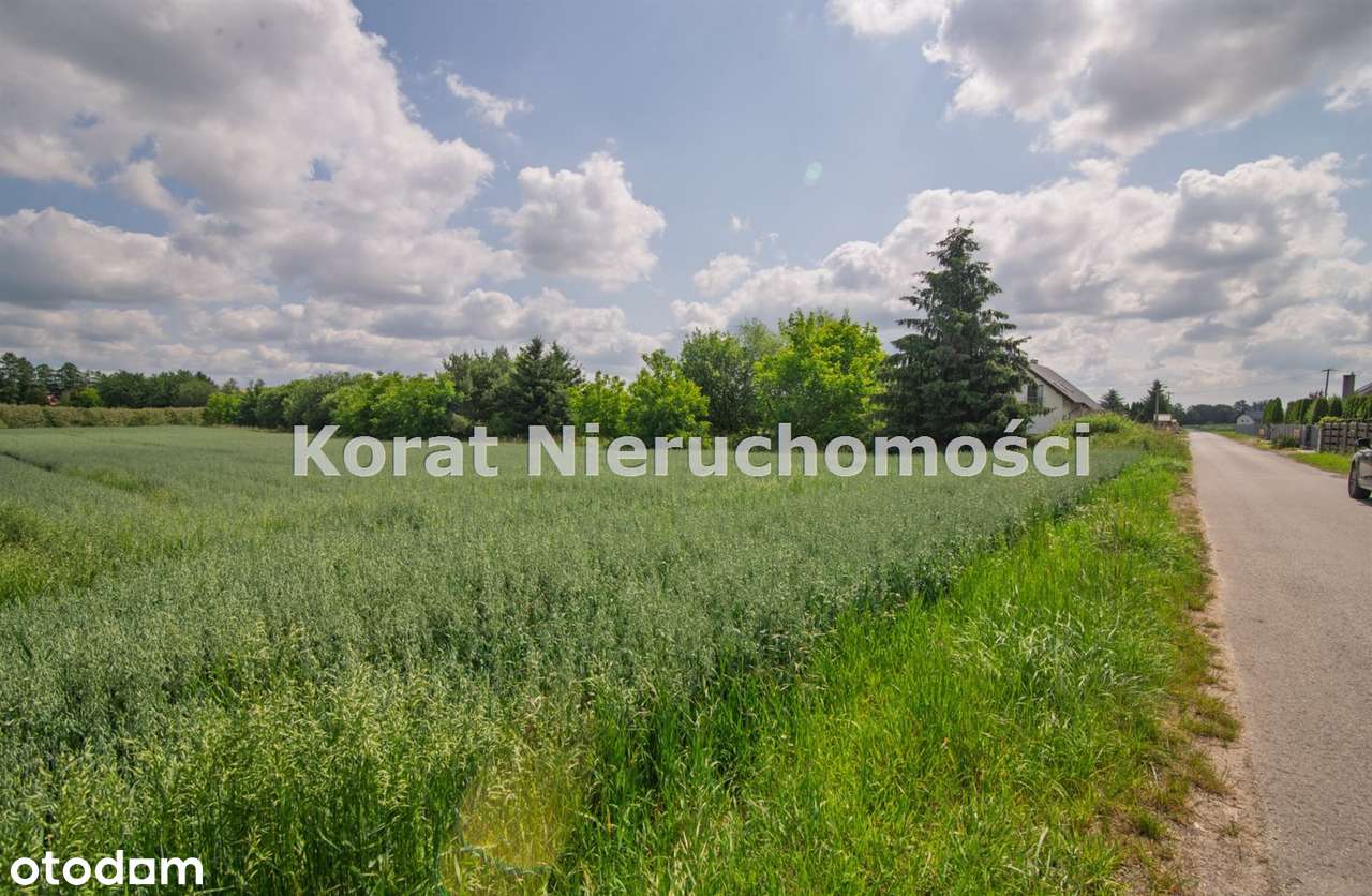 Działka w Morawicy – blisko A4 i lotniska! - Pełny obrazek: 4/5