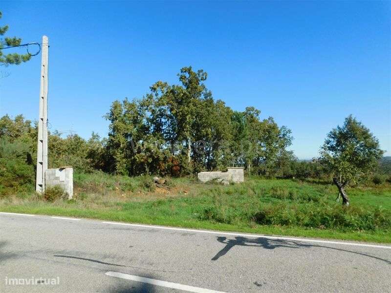 Terreno Rústico / Seia, Santiago - Grande imagem: 4/13