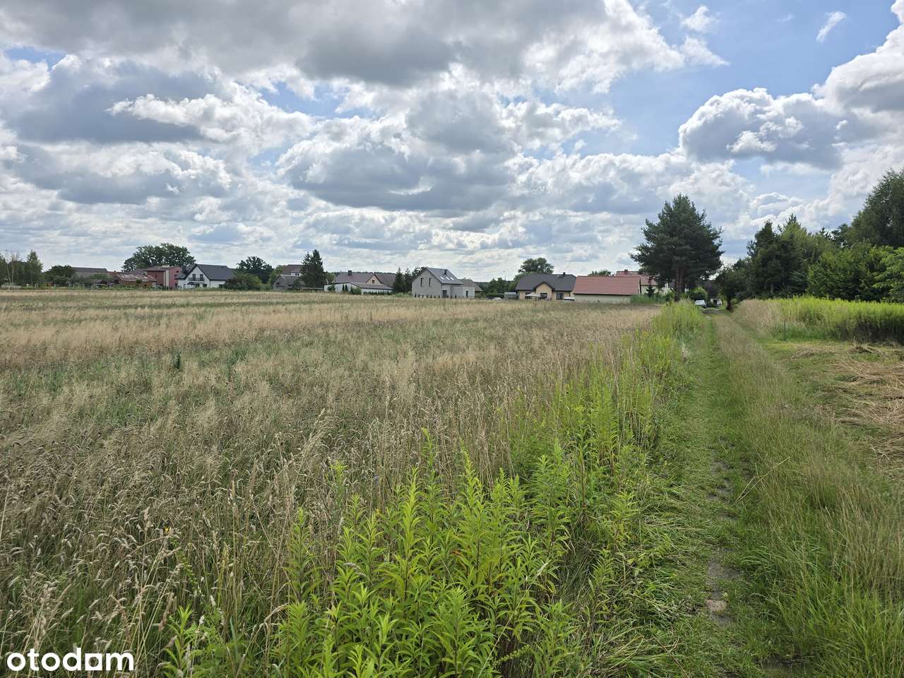 Bukowice, gm. Krośnice, działka budowlana, wszystkie media dostępne - Pełny obrazek: 4/13