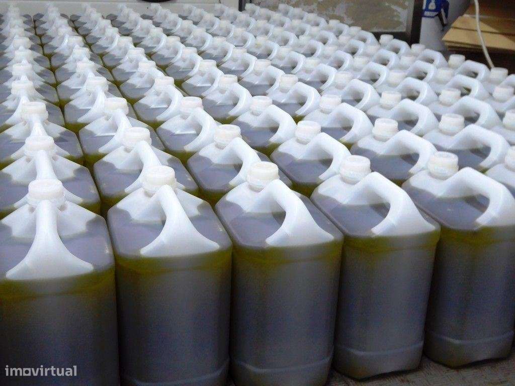 Lagar de Azeite participação, Pinhel, Guarda, Portugal. - Grande imagem: 5/6