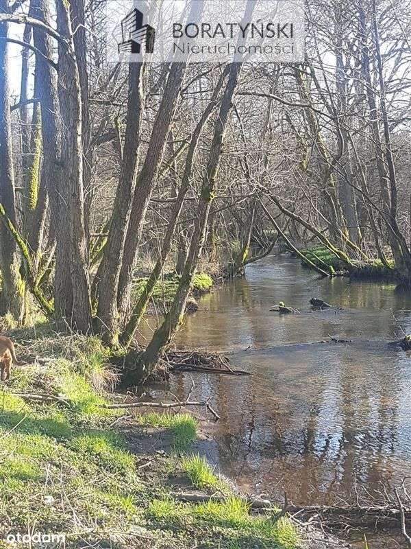 Działka z linią brzegową rzeki Grabowa-8