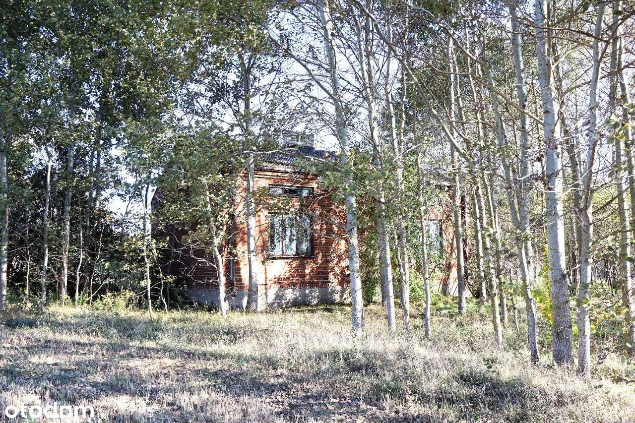 Siedlisko w Głuchowie na dużej działce-9