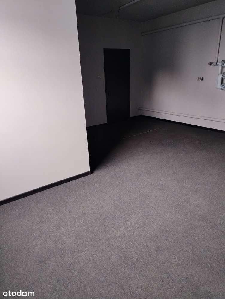 Wynajmę halę usługowo-produkcyjno-magazynową - Pełny obrazek: 4/6