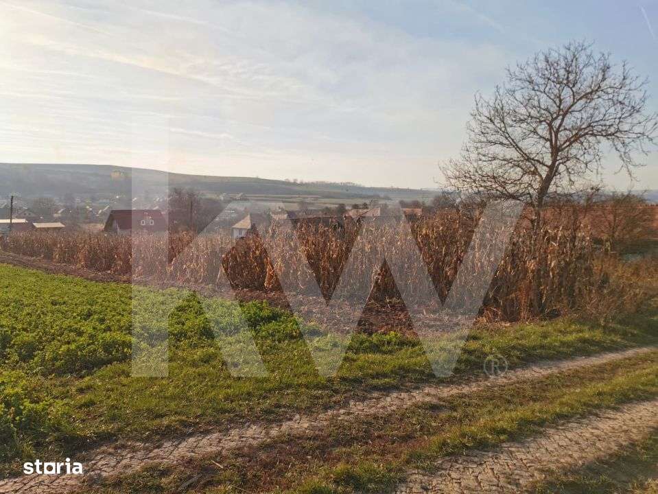 Teren intravilan 1152mp, loc de casa, utilitati, loc. Rusi, 20km Sibiu - Imagine principală: 3/6