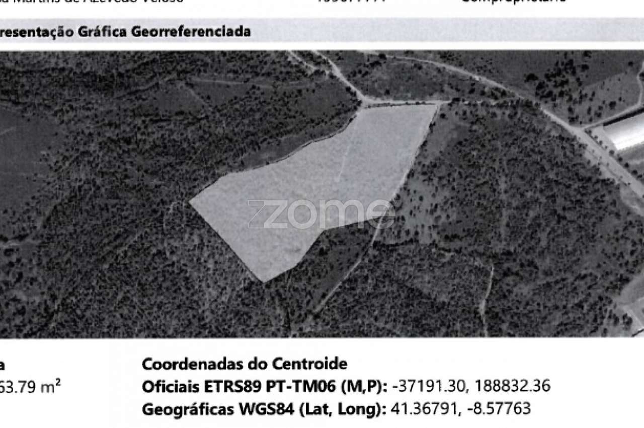 Terreno com 26.000 M2 em Ribeirão Vila nova de Famalicão - Grande imagem: 3/16