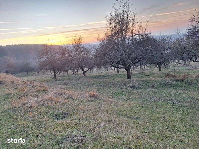 Vand teren intravilan cu priveliste spre Cluj - Imagine principală: 5/7