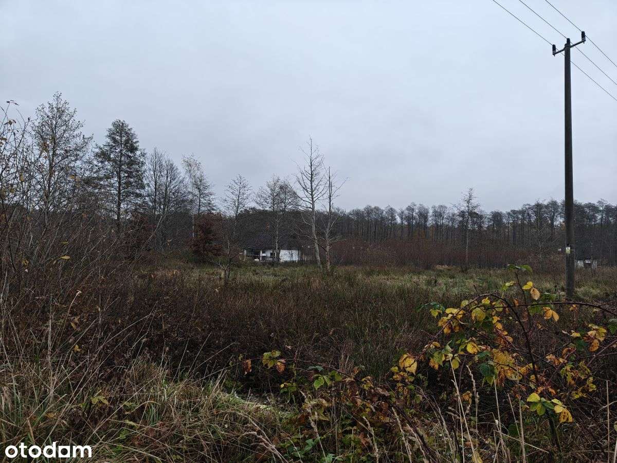 Słoneczna działka budowlana w Sasinie Jarzębinowa-15