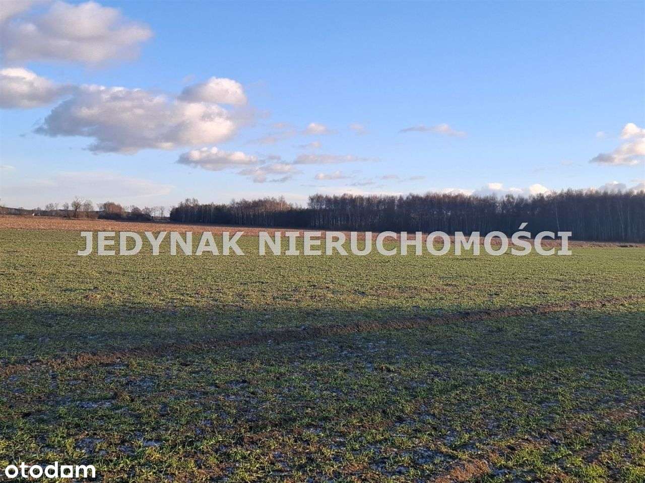 Działka, 1 000 m², Kruszyn Krajeński-4