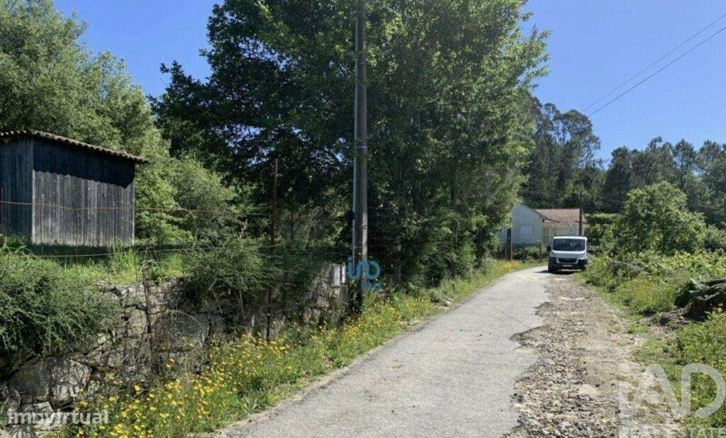 Terreno misto em Covas - Grande imagem: 4/6