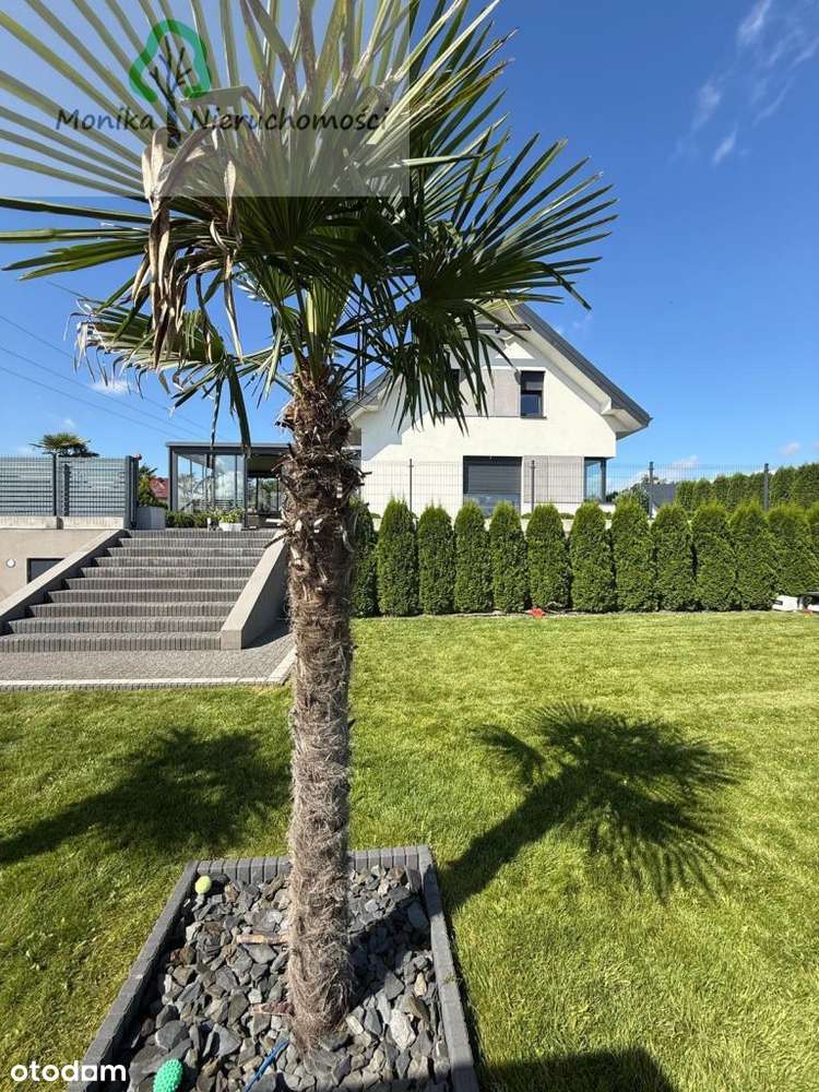 Dom Nad Jeziorem Z Basenem I Palmami-16