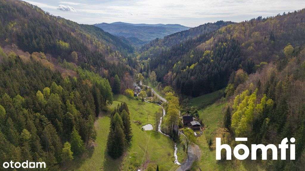 Unikatowy dom z dużym potencjałem inwestycyjnym - Pełny obrazek: 5/20