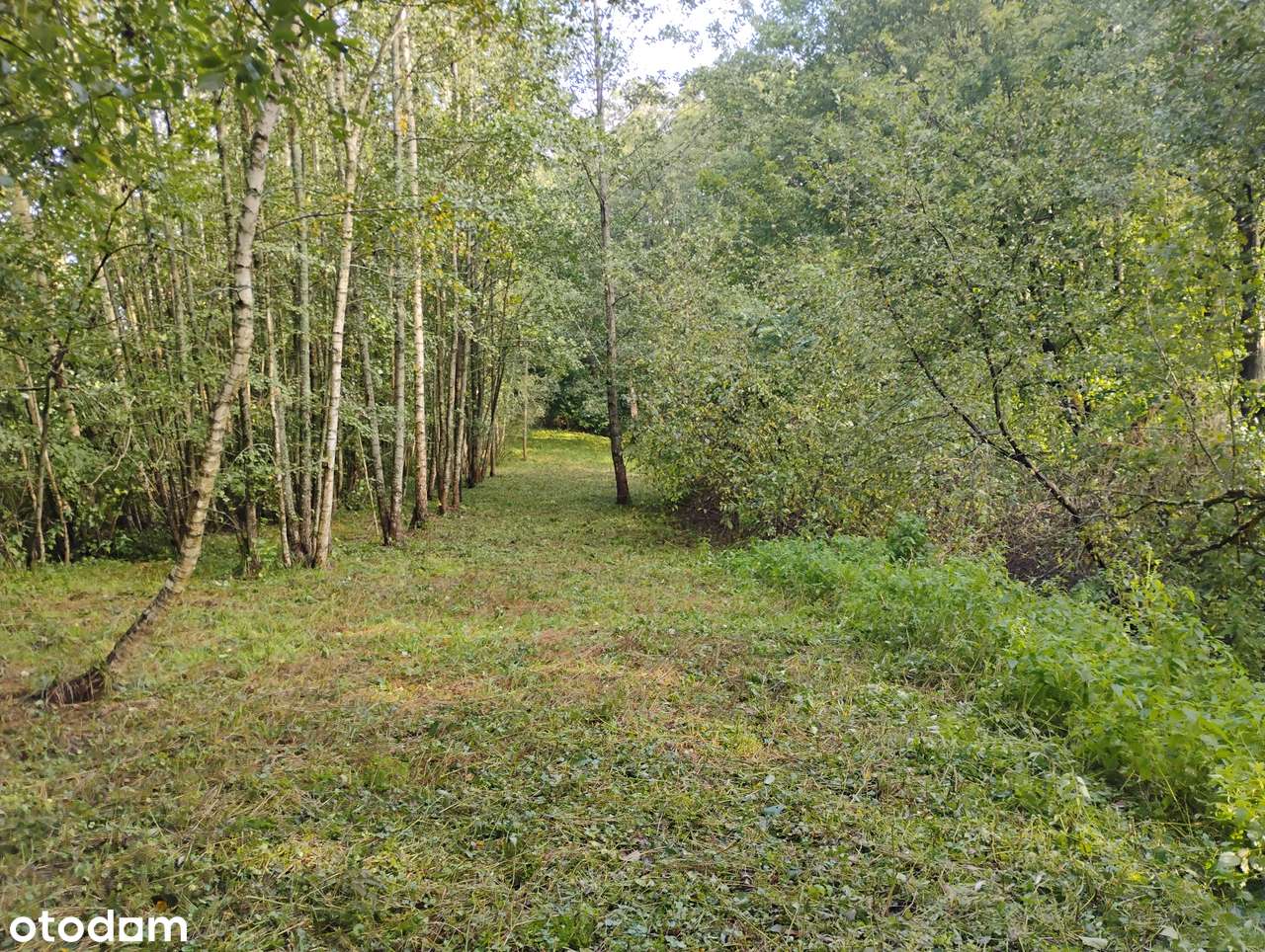 Budowlana, dostęp do pięknego rozlewiska i rzeki, SP 1km, Gołdap 15min-18