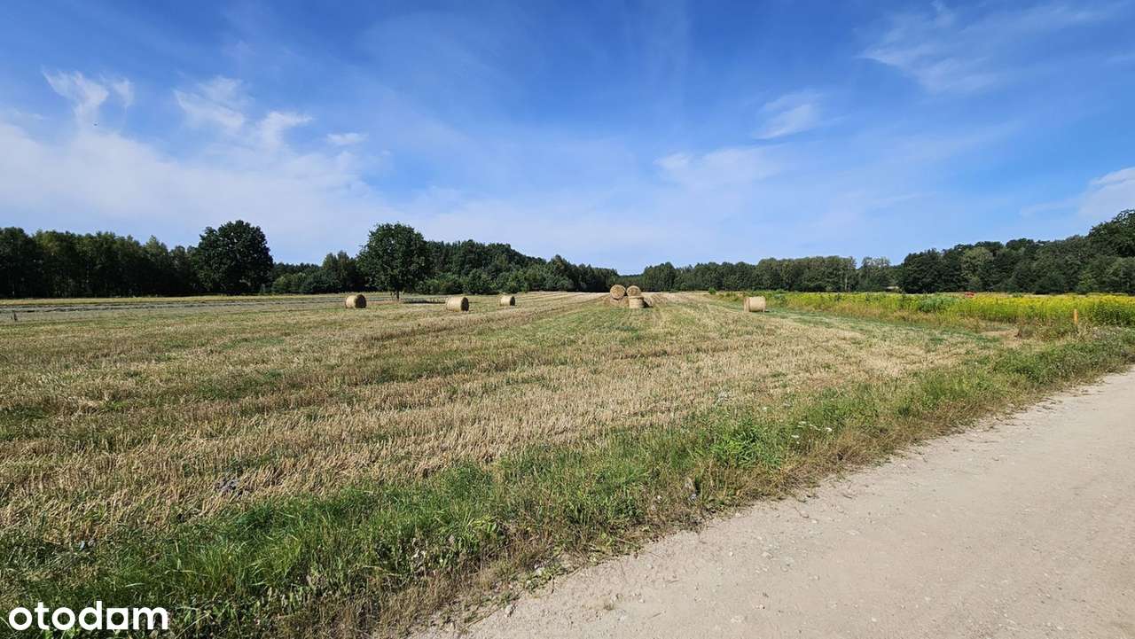 DZIAŁKA BUDOWLANA 1000M2 NOWA POGORZEL OKOLICE MIŃSKA MAZOWIECKIEGO