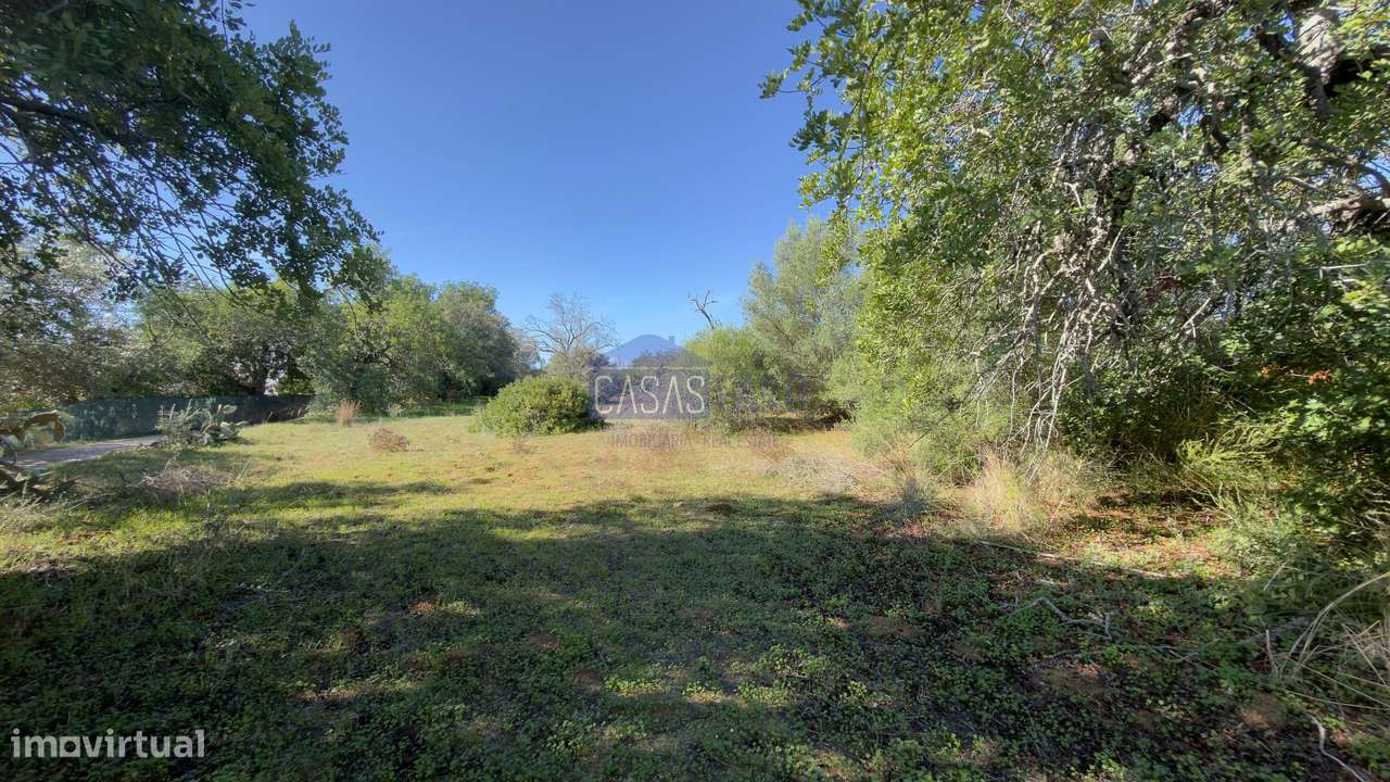 Terreno Rústico plano a 10min de Olhão. Oportunidade-12