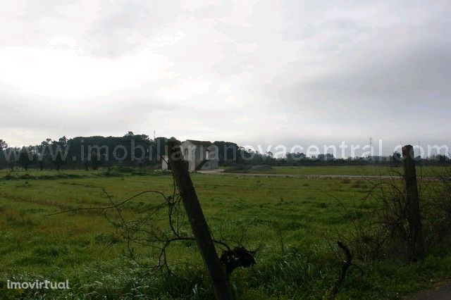 Loteamento  Venda em Portunhos,Cantanhede