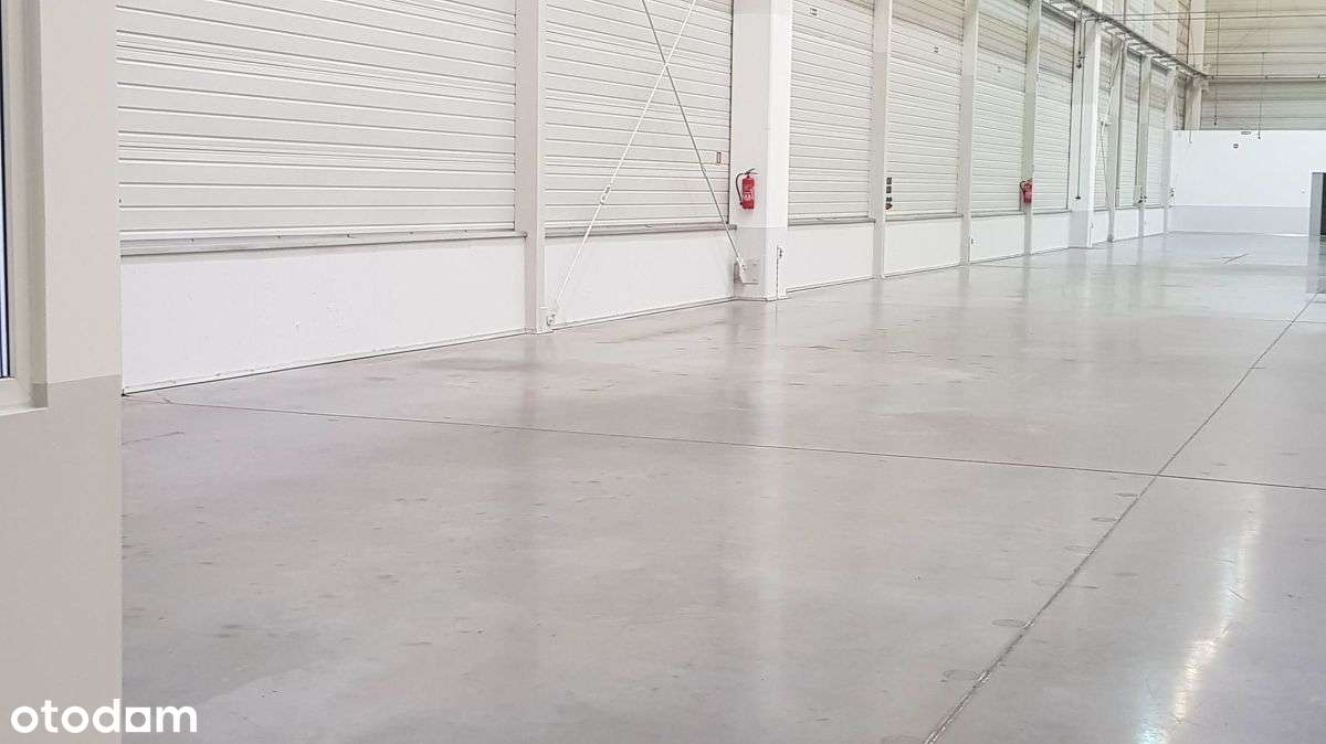 Pruszków - nowoczesna hala o pow. od 2500 m² - Widok 2