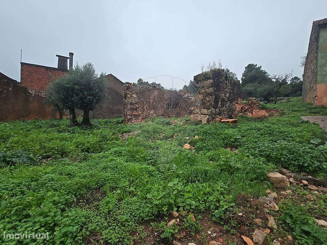 Terreno  para venda - Grande imagem: 4/6