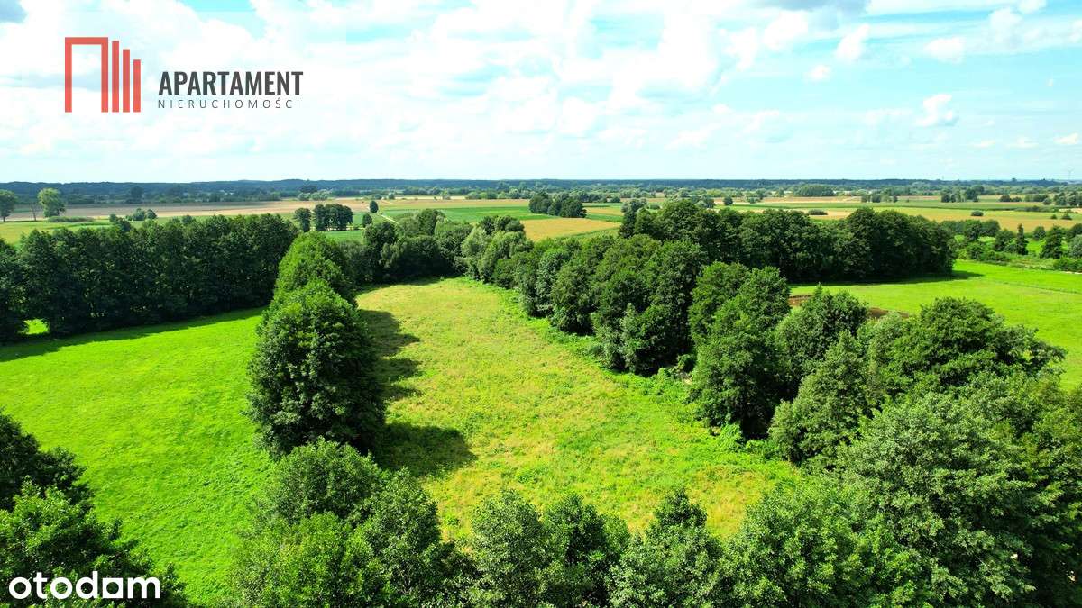 Zławieś Wielka 1468 m2  Projekt Domu W Cenie - Pełny obrazek: 5/13