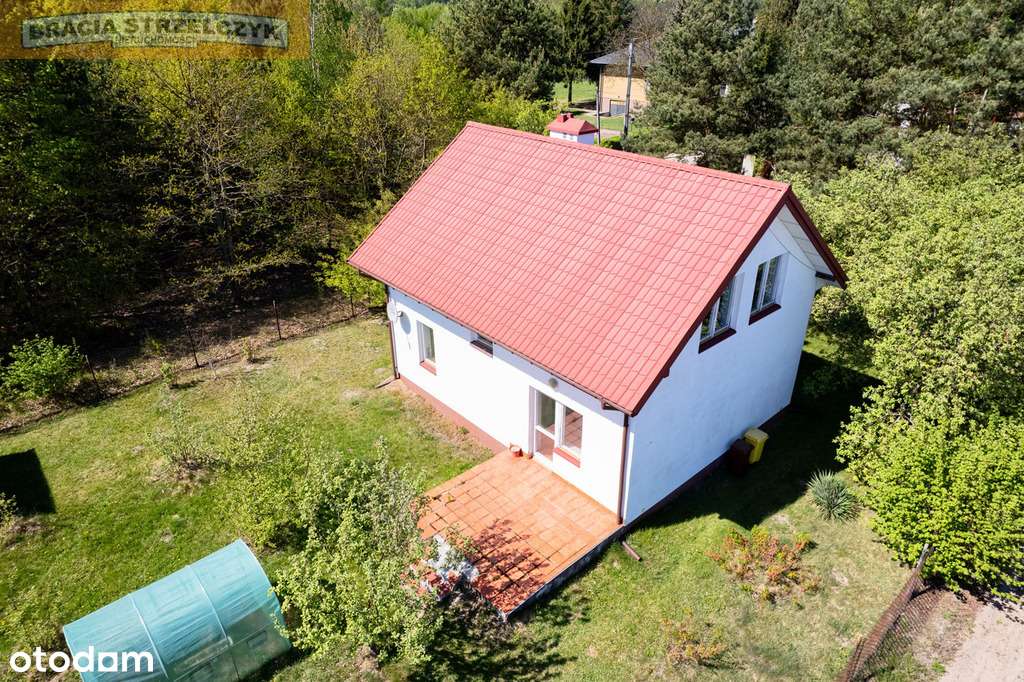 Dom dla amatorów leśnego mikroklimatu. - Pełny obrazek: 4/18