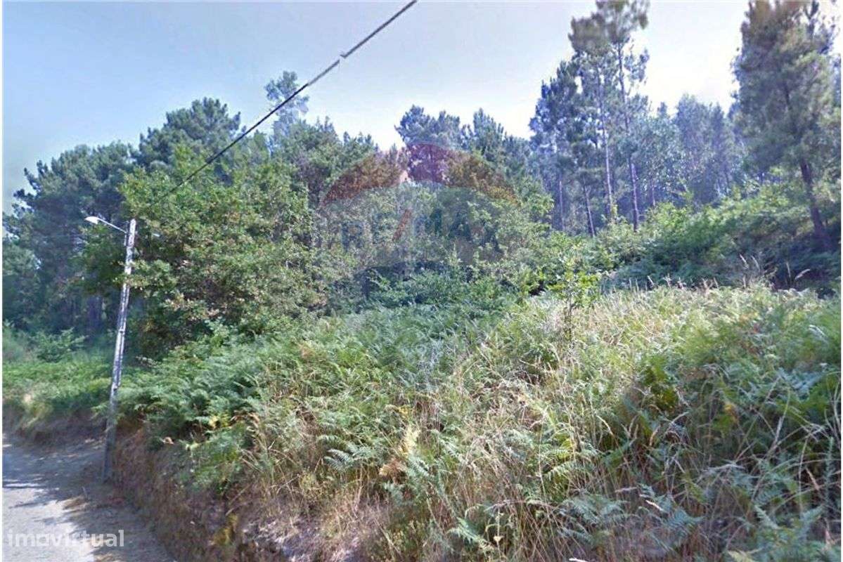 Terreno  para venda - Grande imagem: 3/4